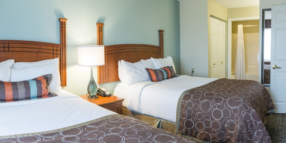 Suite, 1 Bedroom, Kitchen (2 Dbl, Living, Dining) - Photo 10
