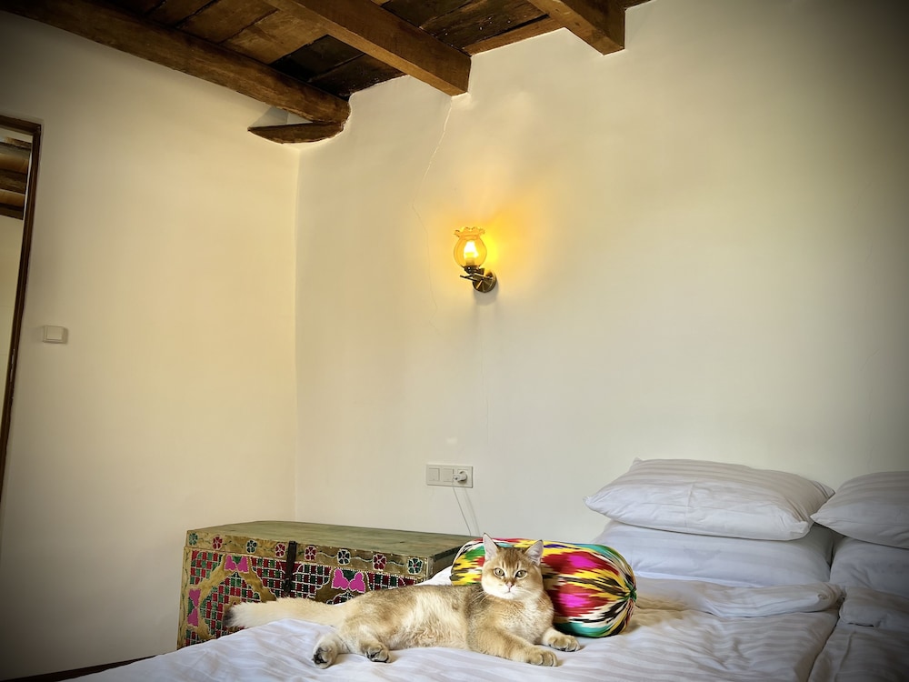 Design Double or Twin Room photo 3