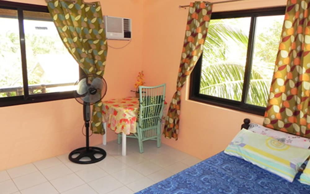 Deluxe Aircon Room photo 3