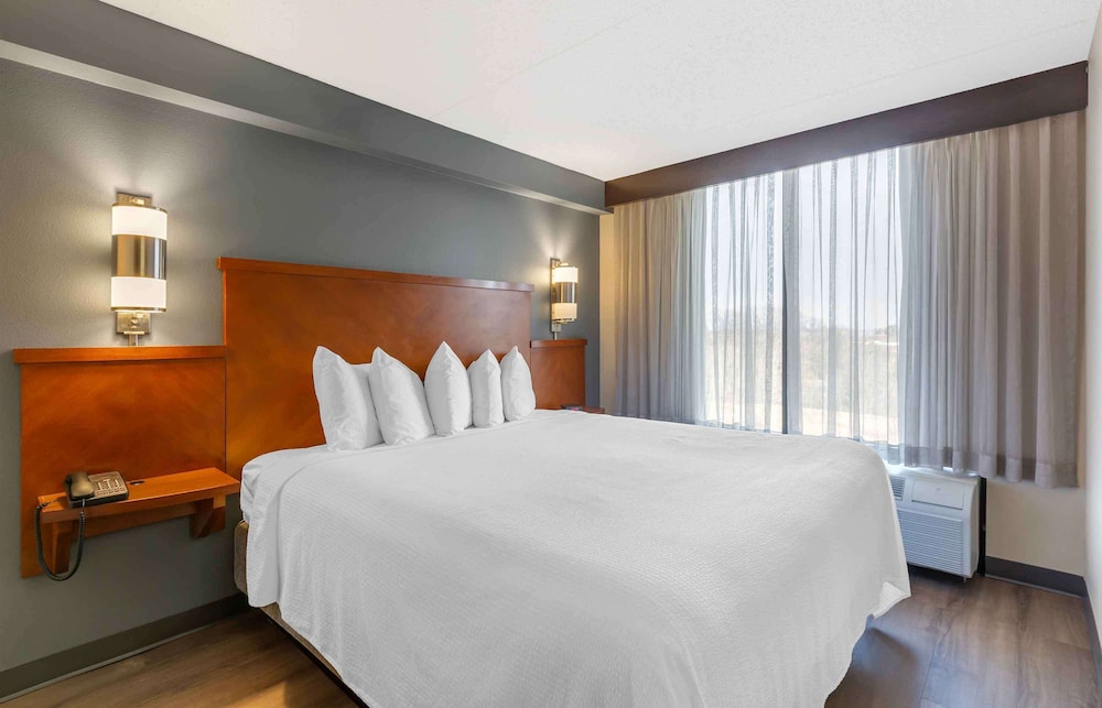 Family Studio, 1 King Bed, Non Smoking, Kitchenette - Photo 1
