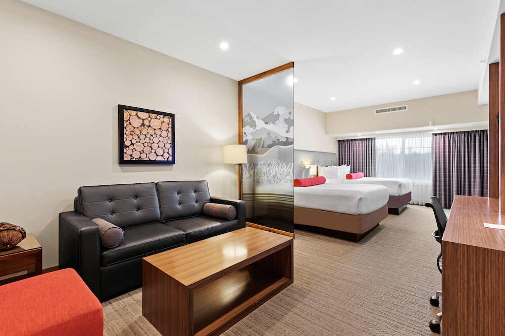 Suite, Multiple Beds photo 1