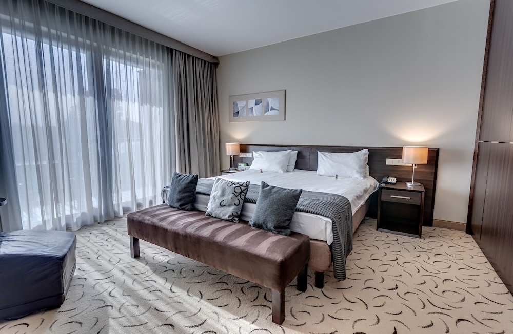 Suite, 1 King Bed with Sofa bed photo 3