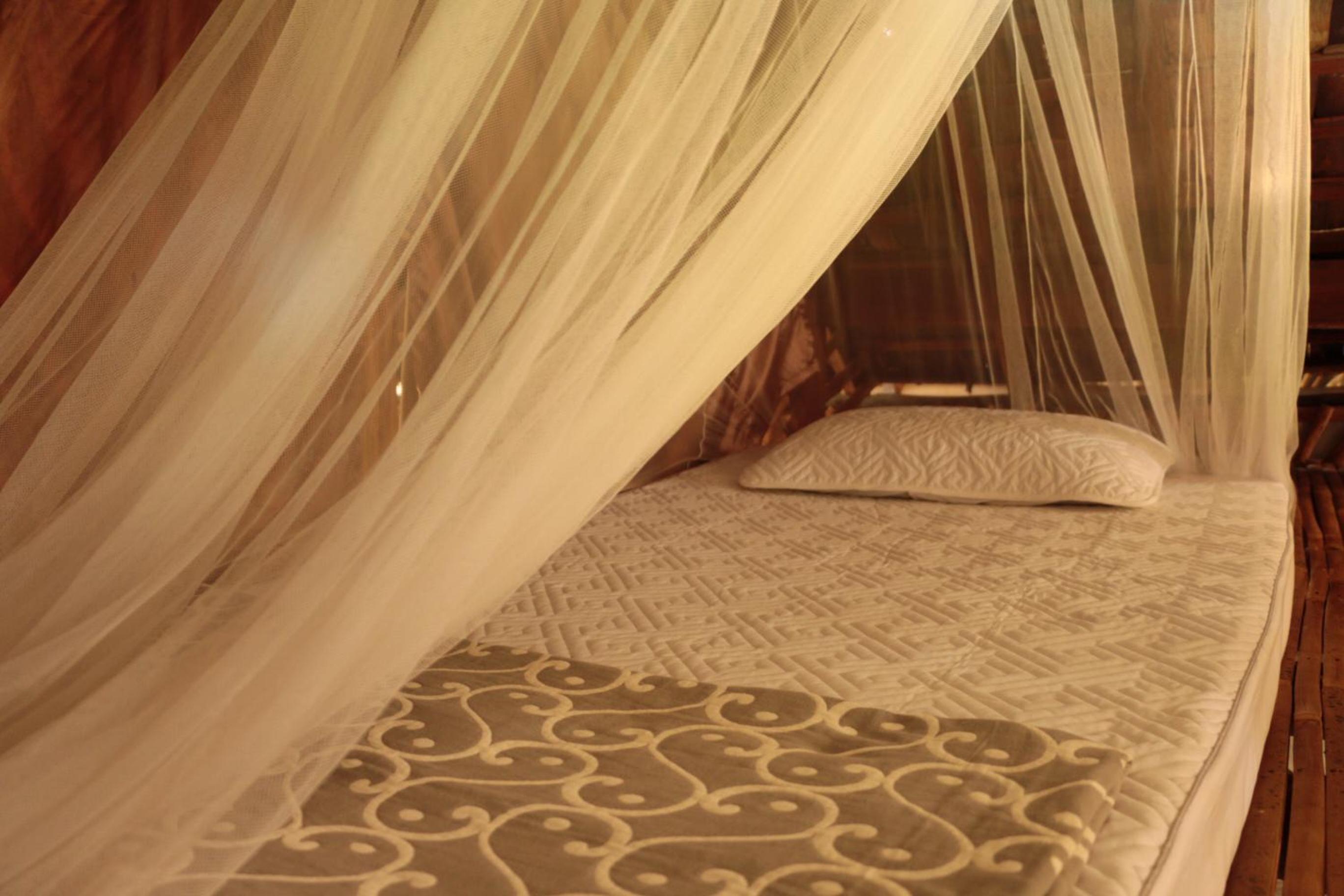 Bed in 4-Bed Mixed Dormitory Room photo 1