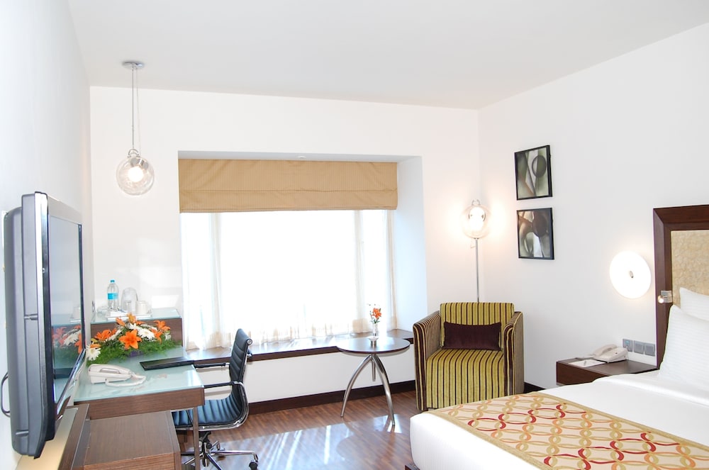 Deluxe Room - Photo 6