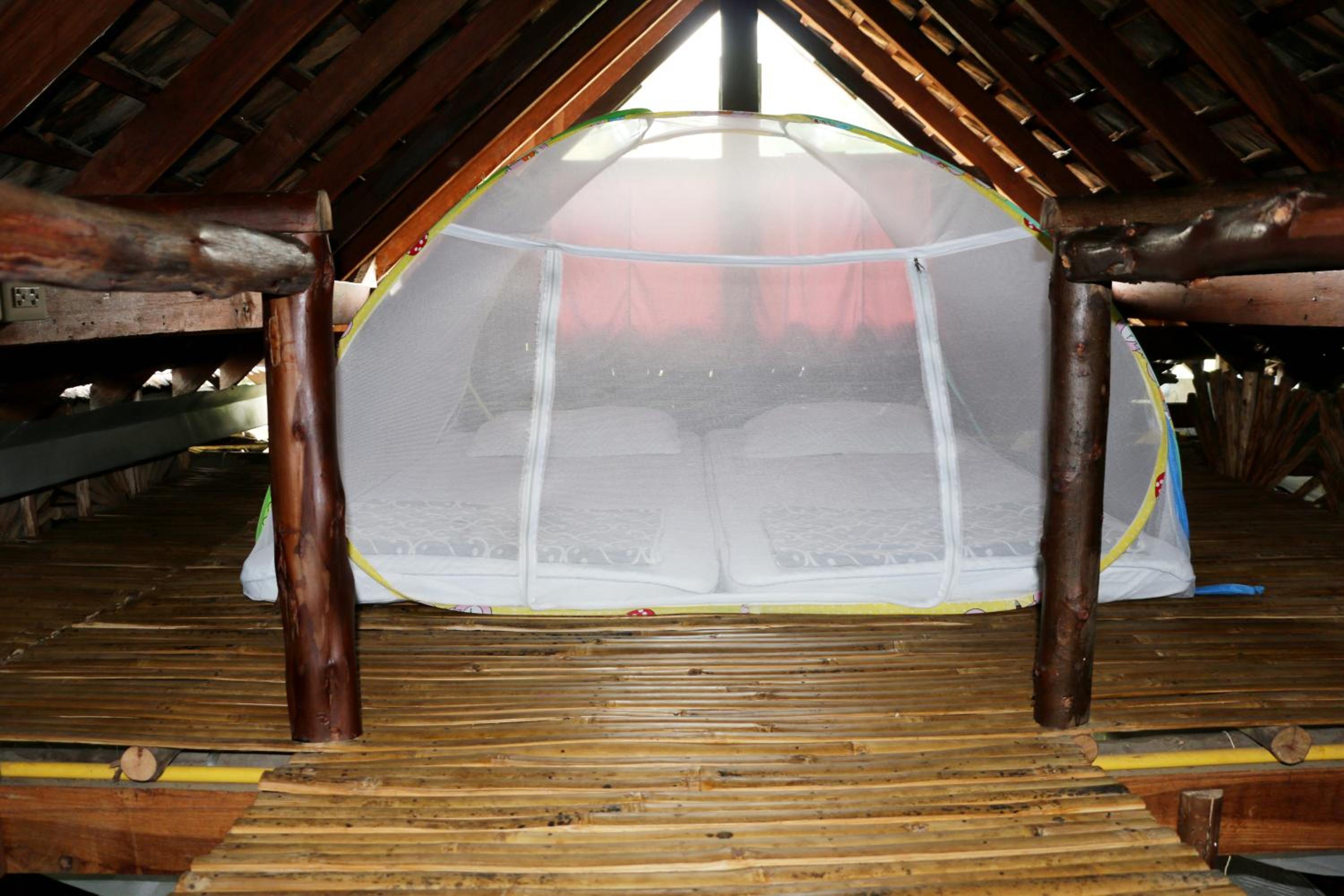 Bed in 8-Bed Mixed Dormitory Room photo 1