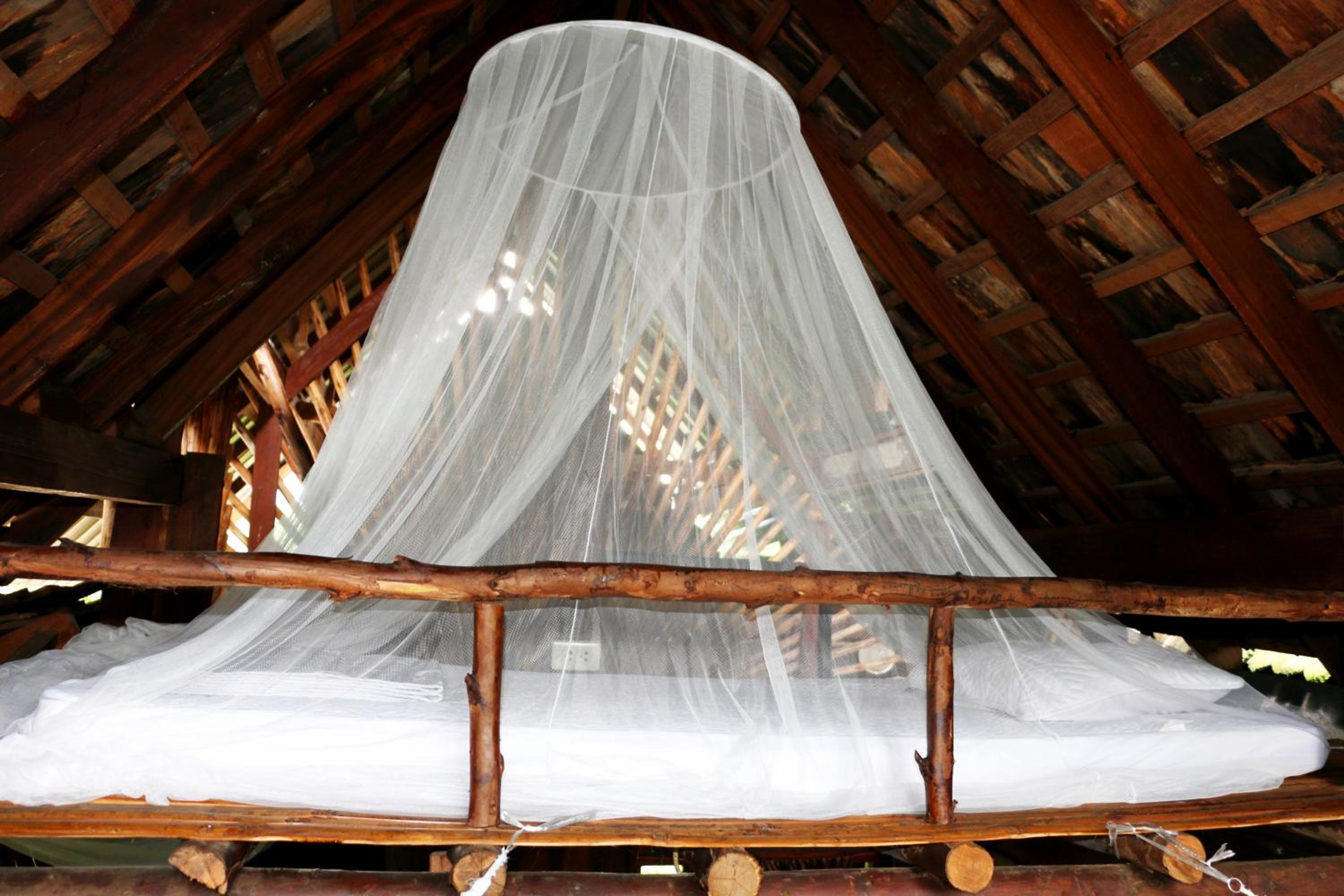 Bunk Bed in Mixed Dormitory Room photo 1