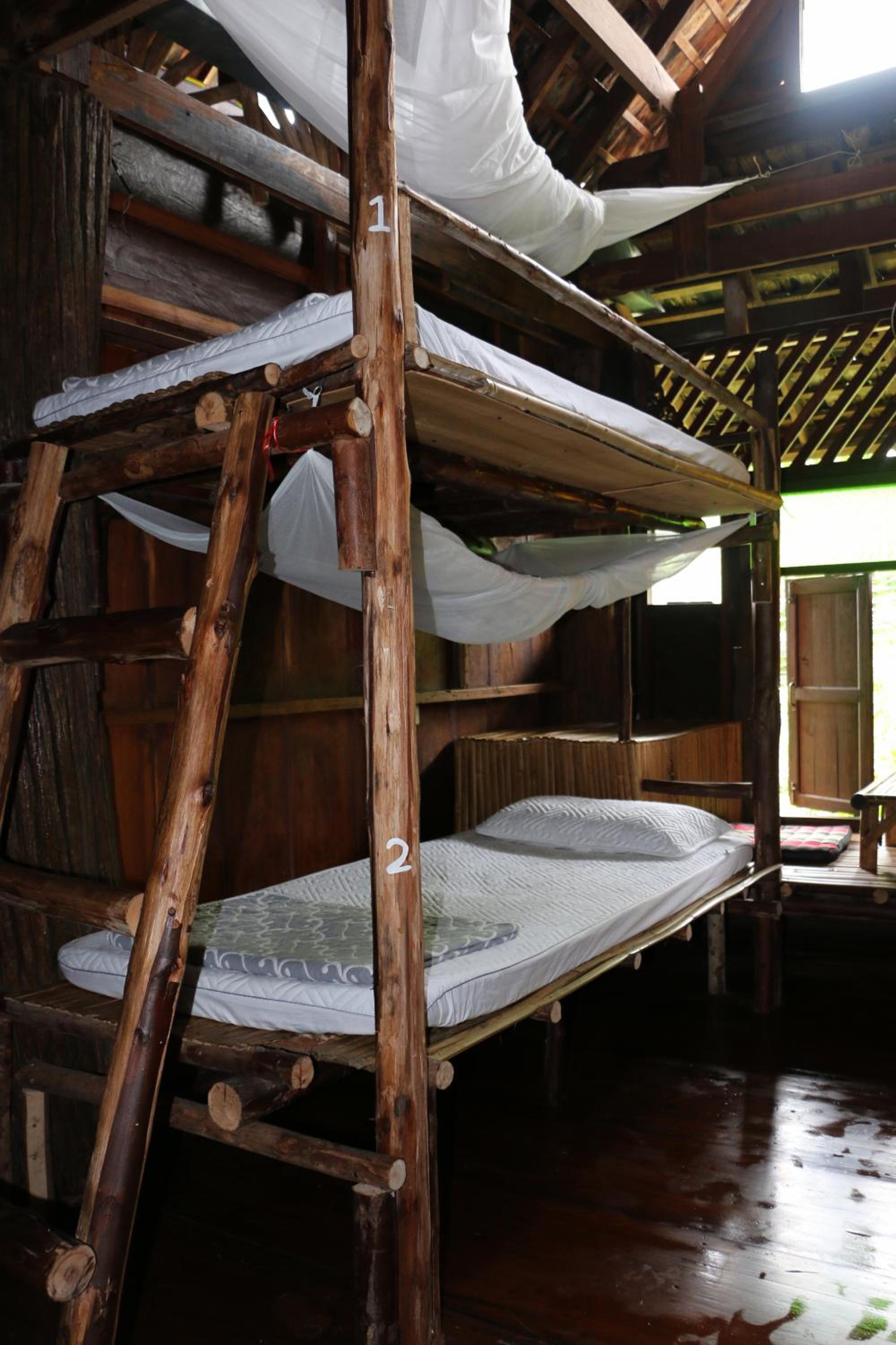 Bunk Bed in Mixed Dormitory Room photo 2