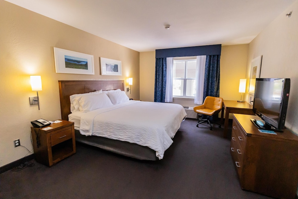 Suite, 1 King Bed, Non Smoking, Jetted Tub photo 1
