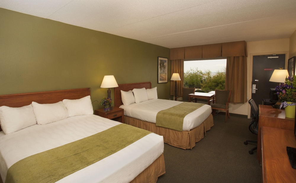 Room, 2 Queen, Patio - Waterpark Passes Not Included And Subject To Availability photo 1