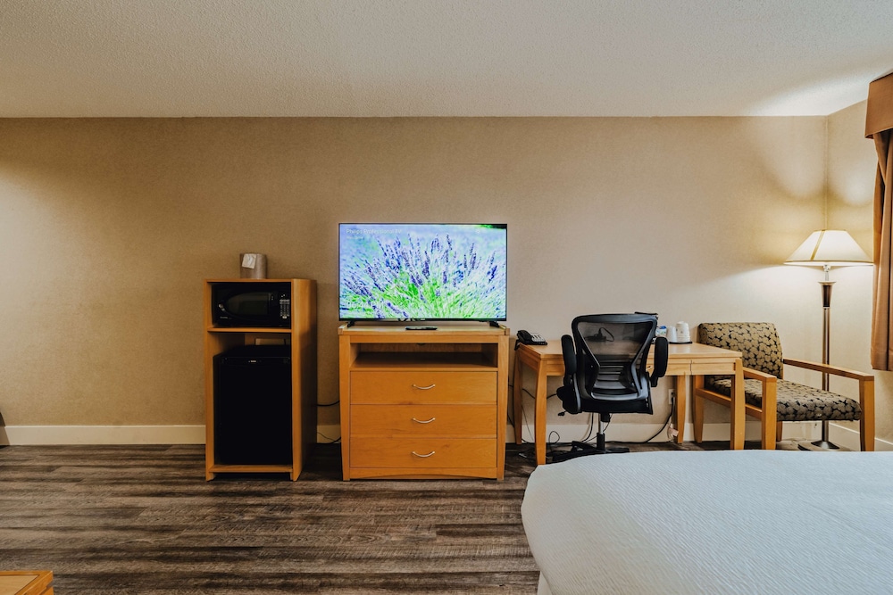 Standard Room, 1 King Bed, Non Smoking, Refrigerator & Microwave - Photo 4