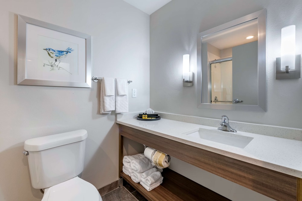 Suite, Multiple Beds, Non Smoking, Refrigerator & Microwave (with Sofabed) - Photo 4