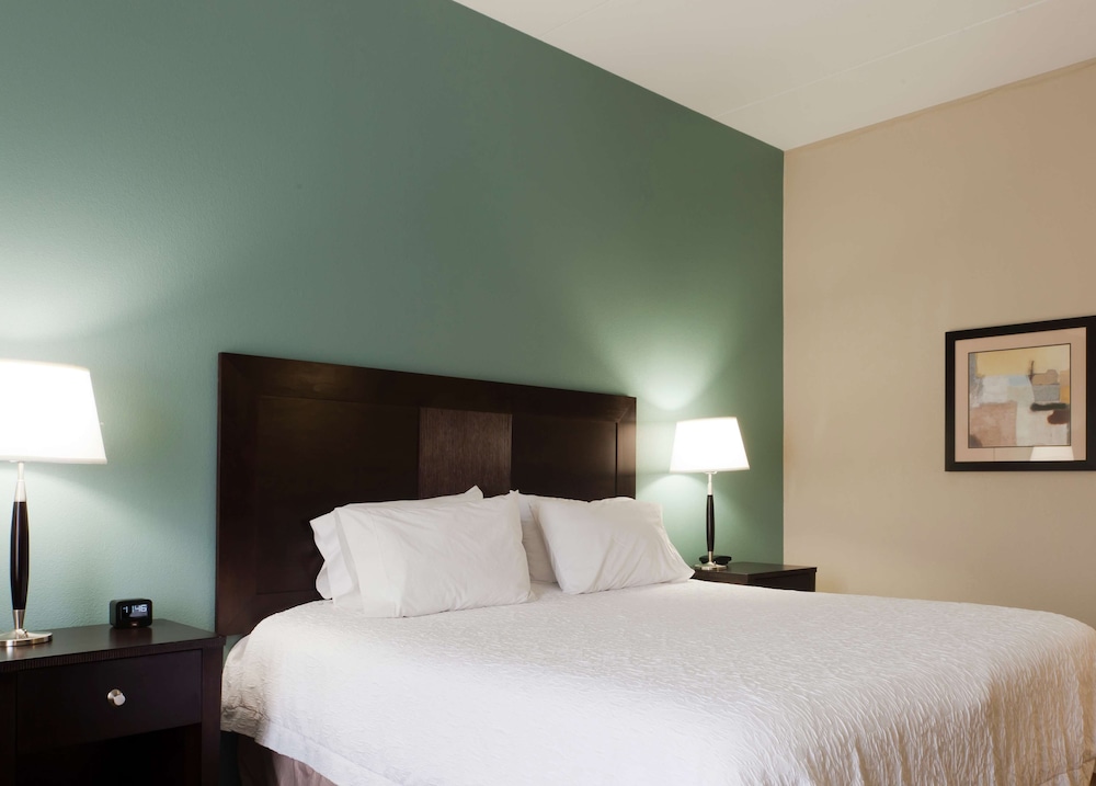 Room, 1 King Bed, Non Smoking photo 3