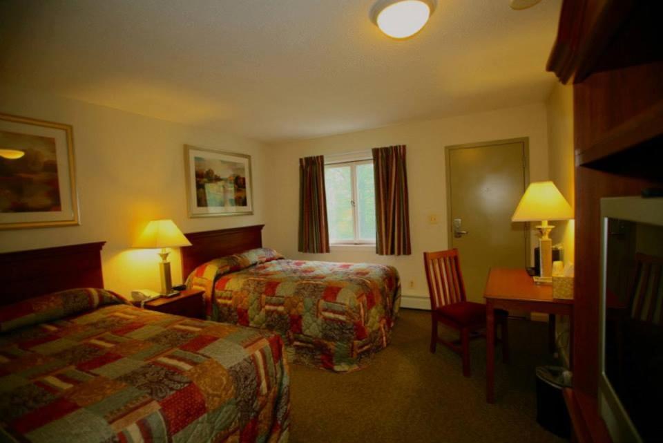 Family Suite photo 2