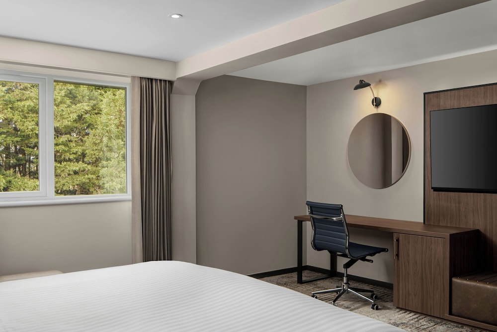 Executive Room, 1 King Bed - Photo 3