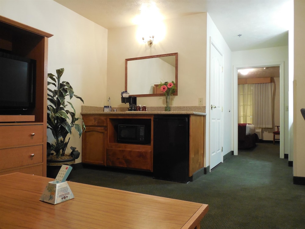 Suite, 1 King Bed, Non Smoking (with Sofabed) - Photo 1