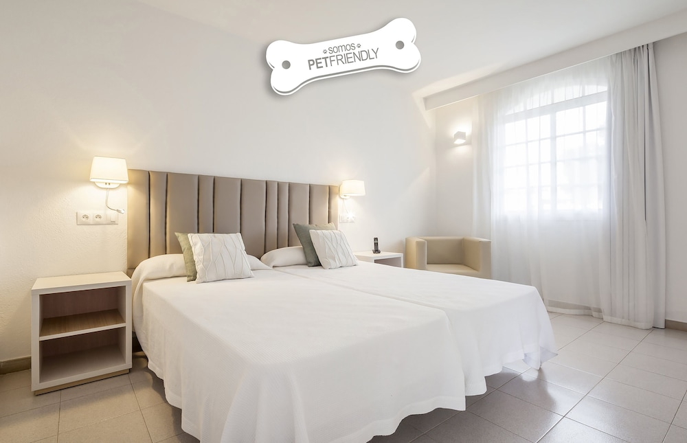 Apartamento, 1 dormitorio, Acepta mascotas