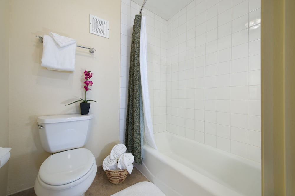 Studio, 1 Queen Bed, Kitchen, Courtyard Area (Stair Access Only) - Photo 3