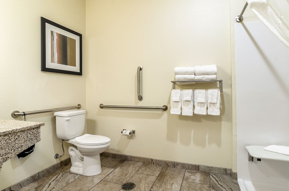 Suite, 1 King Bed with Sofa Bed, Accessible Roll in Shower, Non Smoking (Extended Stay)