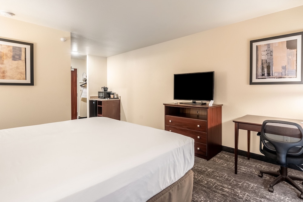 Room, 1 King Bed, Non Smoking (Audible/Visual) - Photo 3