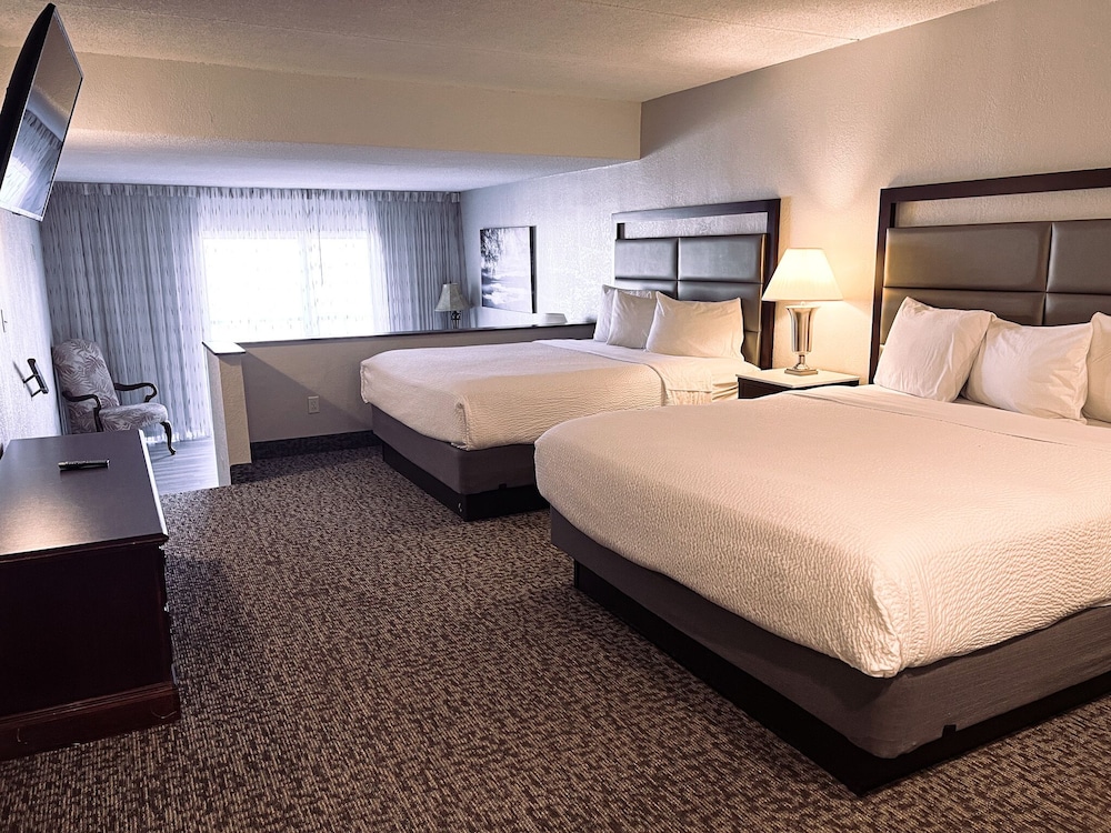 Suite, Lake View - Photo 1