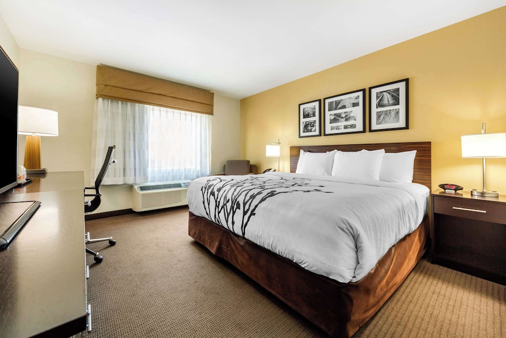 Standard Room, 1 King Bed, Non Smoking