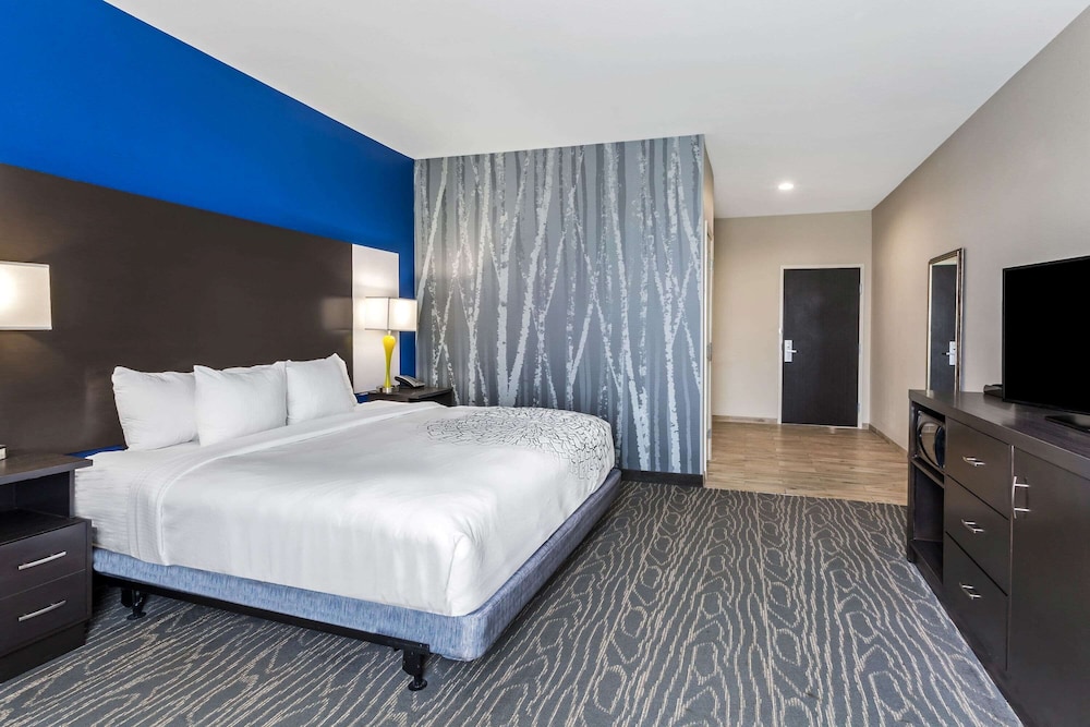 Room, 1 King Bed, Accessible, Non Smoking (Mobility,Hearing,Tub w/Grab Bars) photo 3