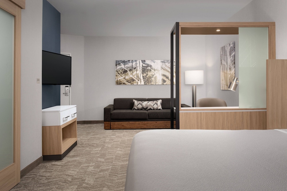 Studio Suite, 1 King Bed - Photo 2