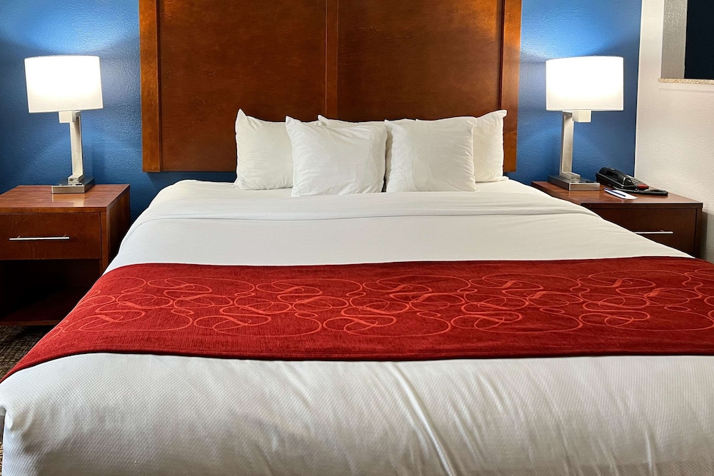 Suite, 1 King Bed, Non Smoking - Photo 5