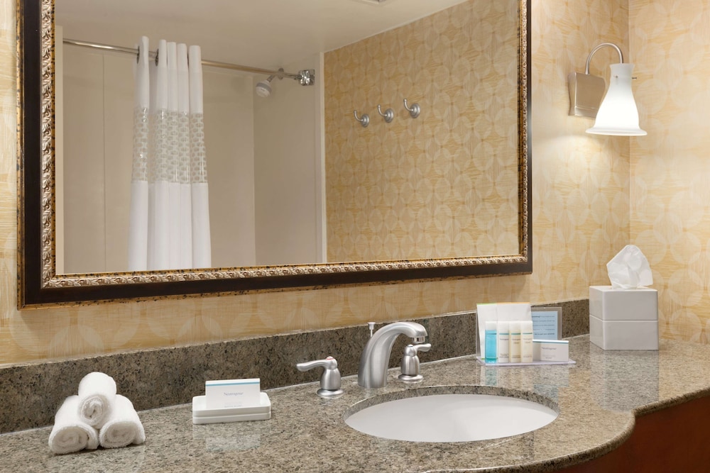 Accessible Room, 1 King Bed (Roll-In Shower) photo 2