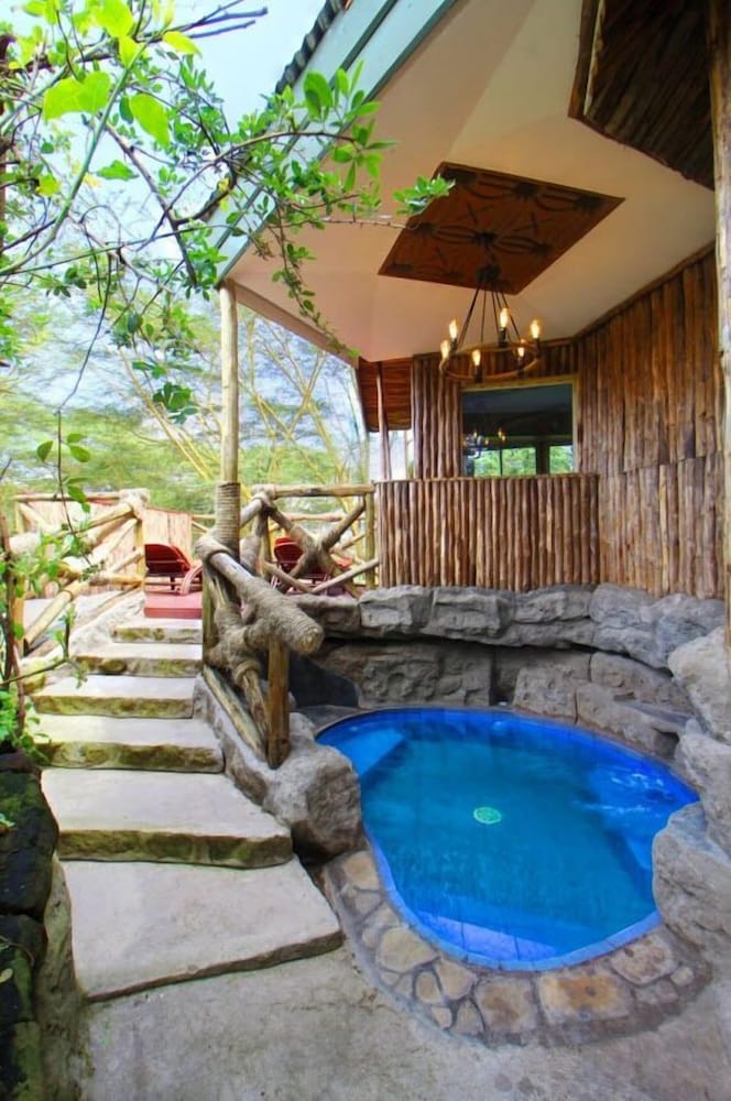 Executive Suite (Giraffe) photo 2