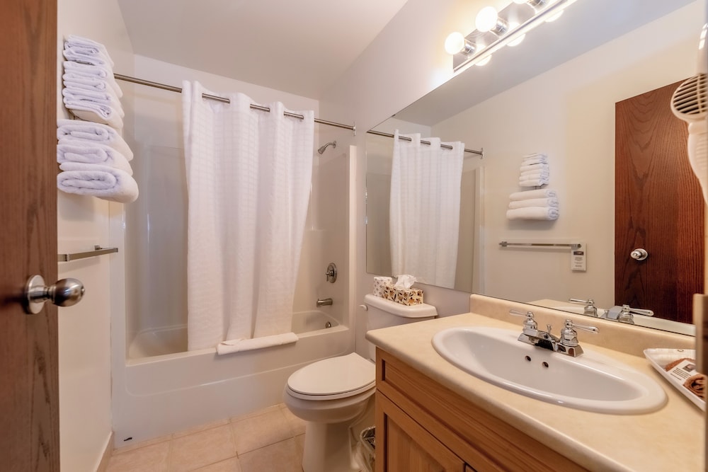 Suite, Kitchen (No Pets Allowed) photo 3