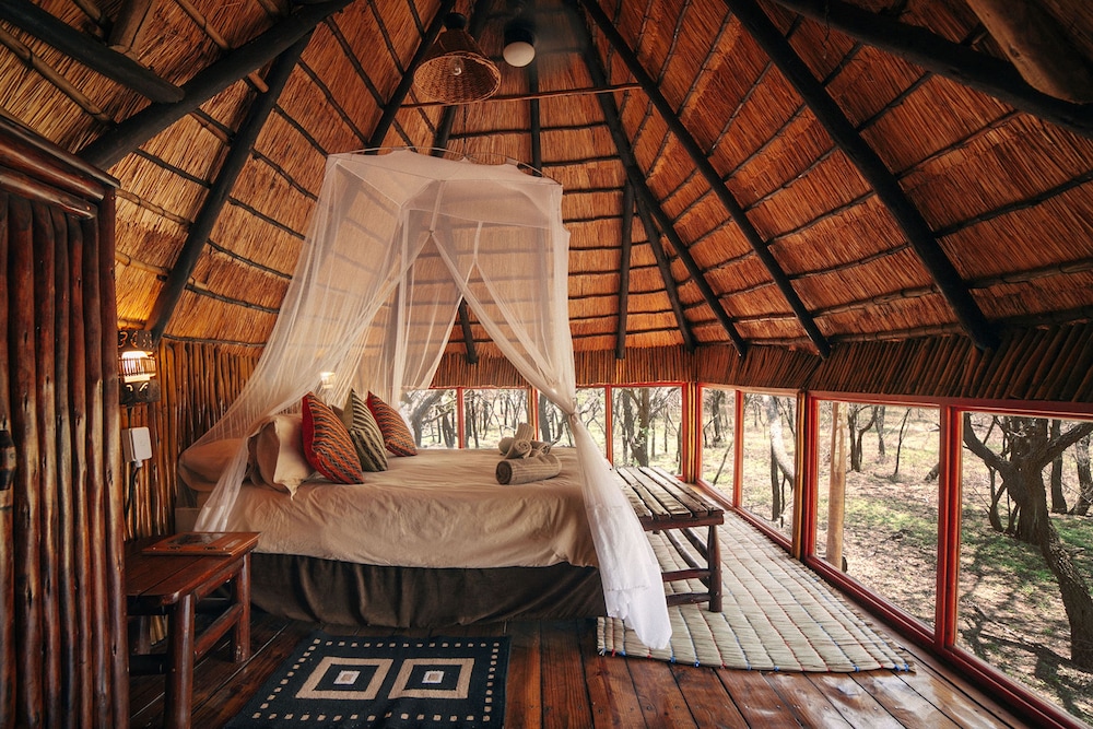 Teak 2 (Standard Family Tree House)