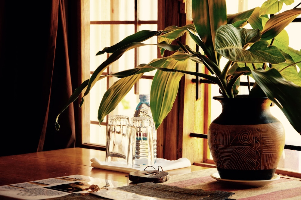 Comfort Room photo 3