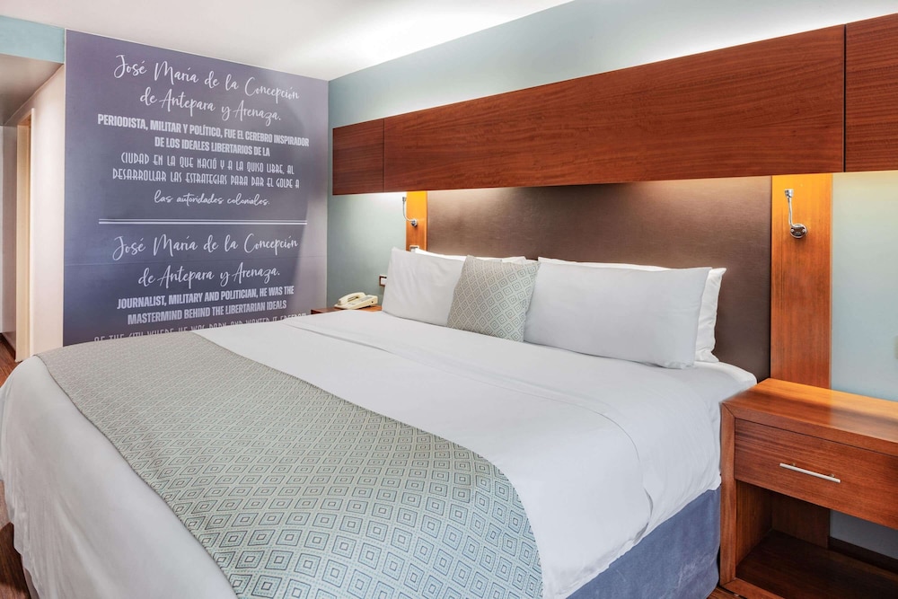 Standard Room, 1 King Bed, Accessible, Non Smoking (Mobility)