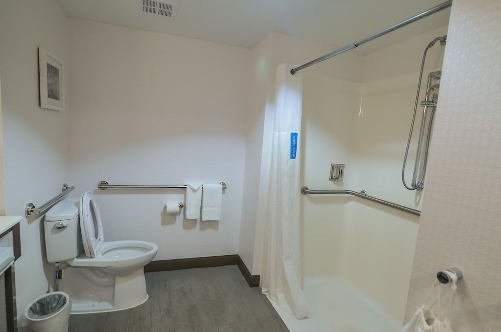 Room, 1 King Bed, Accessible (Roll-In Shower) - Photo 2