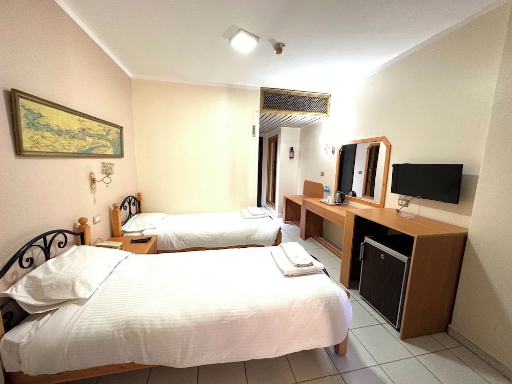 Deluxe Double or Twin Room photo 3