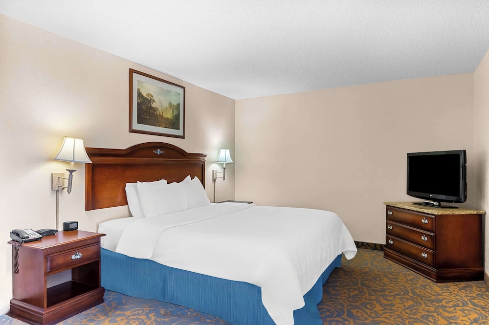 Suite, 1 King Bed, Accessible, Bathtub (With Sofabed) photo 1