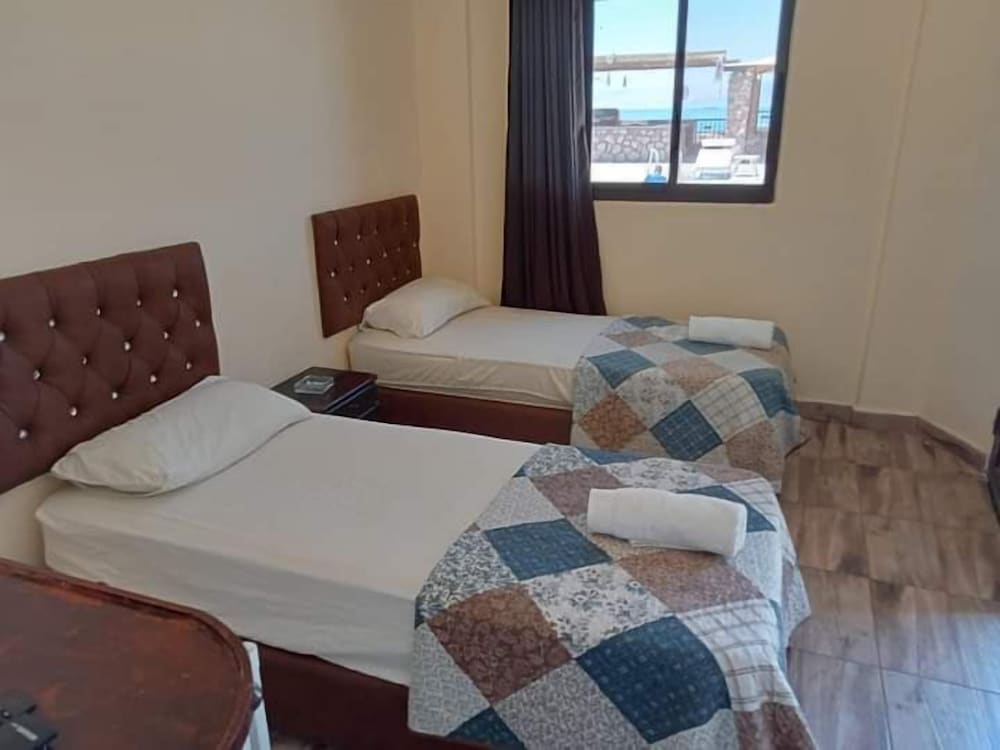 Family Double or Twin Room photo 2