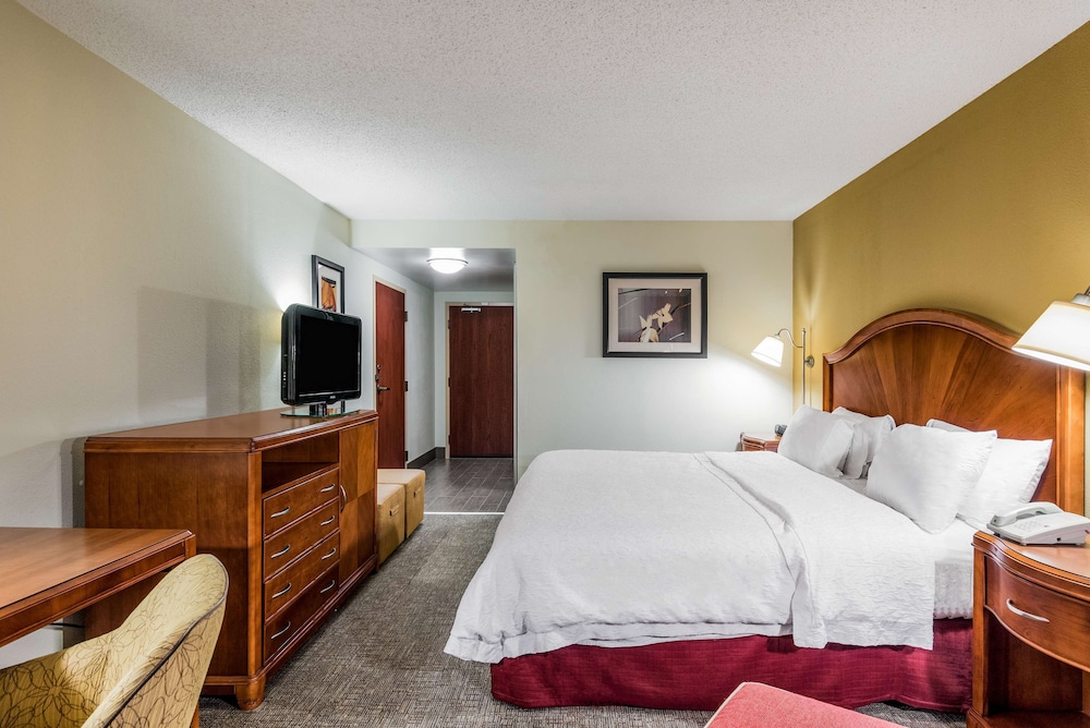 Room, 1 King Bed, Accessible (Roll-in Shower)