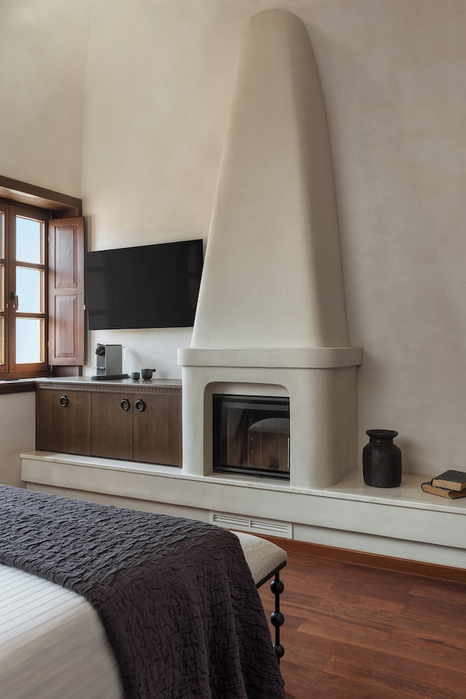 Dome Room with Fireplace photo 3
