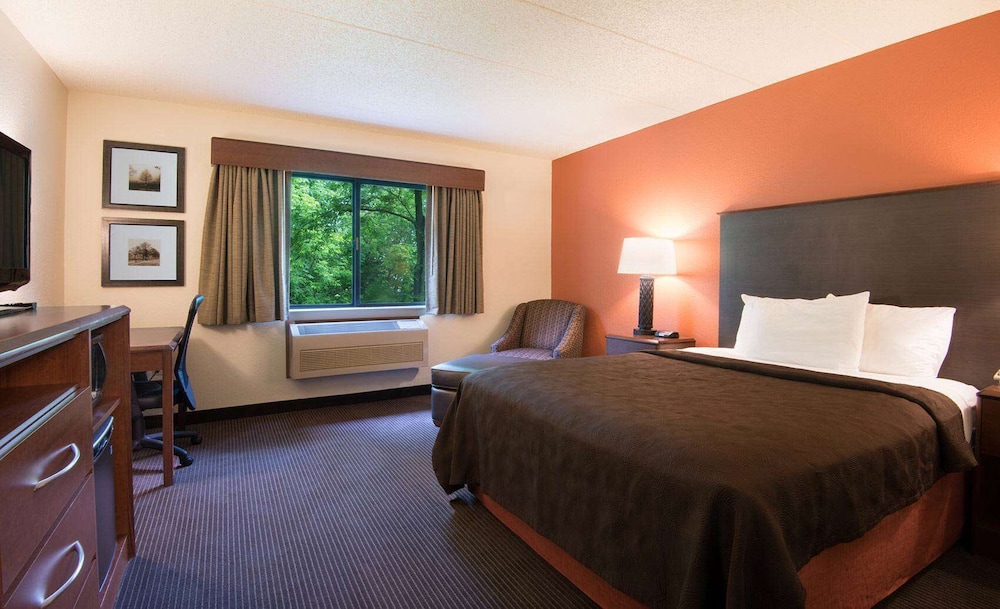 Room, 1 King Bed, Accessible, Non Smoking (Lake View) photo 1