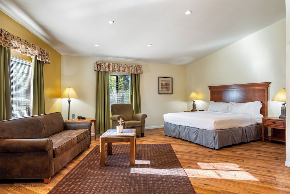 Studio (Oak - Lodge Full K)