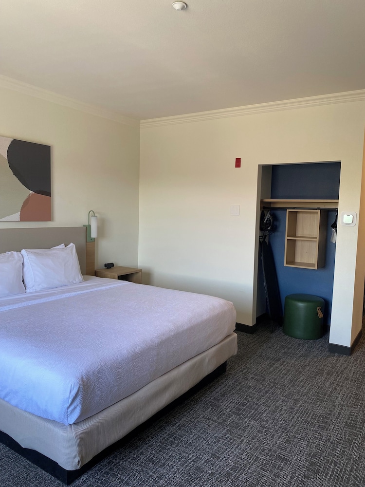 Room, 1 King Bed, Accessible, Bathtub (Mobility & Hearing) photo 2