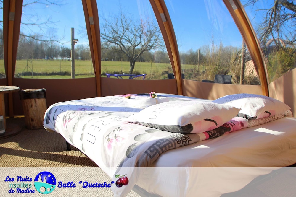 Bulle Quetsch photo 1