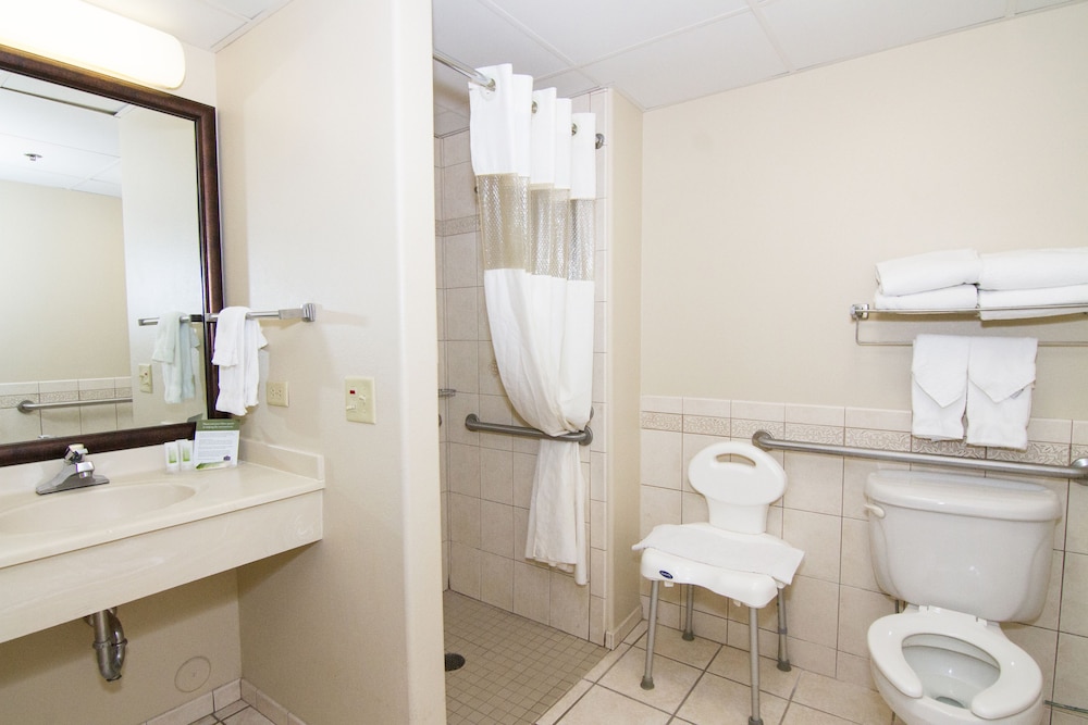 Studio Suite, 1 King Bed, Accessible, Non Smoking (Roll-In Shower) photo 2