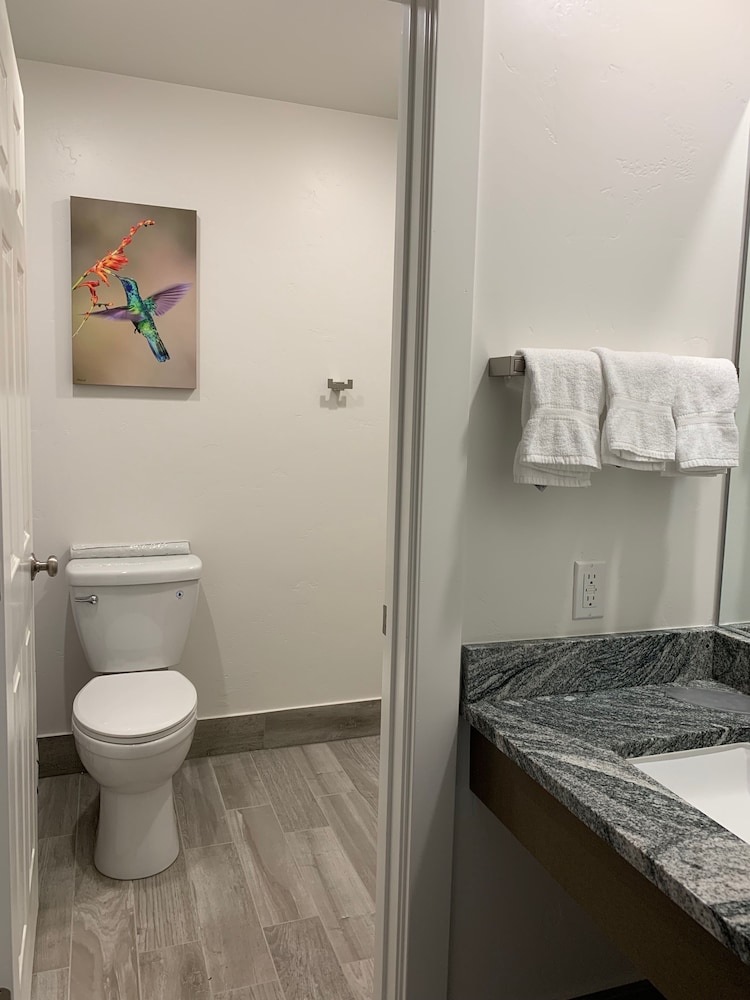 Premium Studio Suite, 2 Queen Beds, Refrigerator & Microwave, Courtyard View (not pet friendly) photo 3