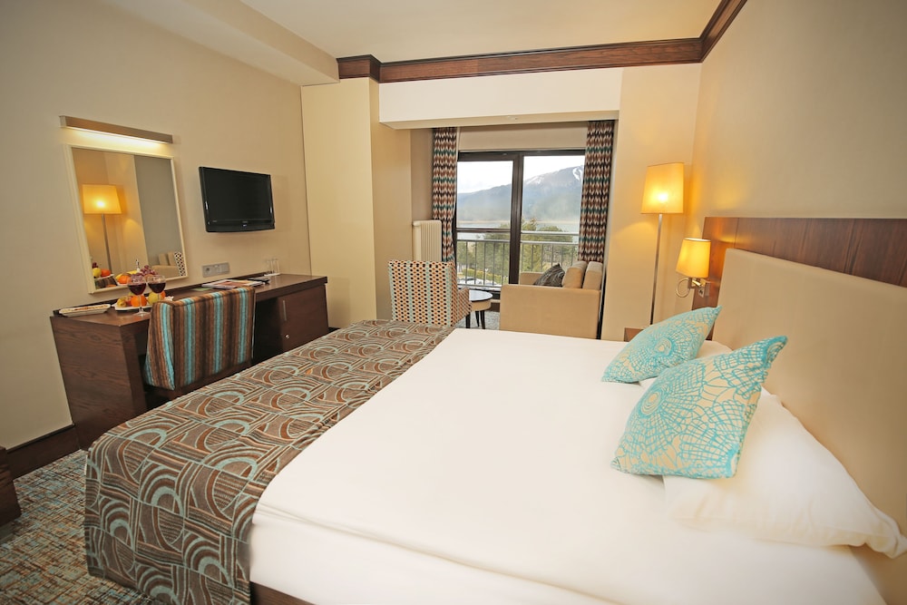 Standard Double or Twin Room, Lake View photo 3