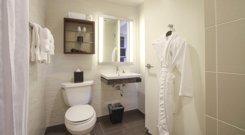 Room, 1 King Bed, Accessible Bathtub - Photo 14