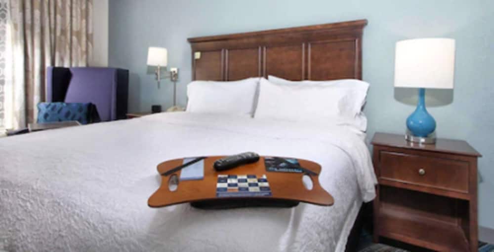 Suite, 1 King Bed, Non Smoking - Photo 8