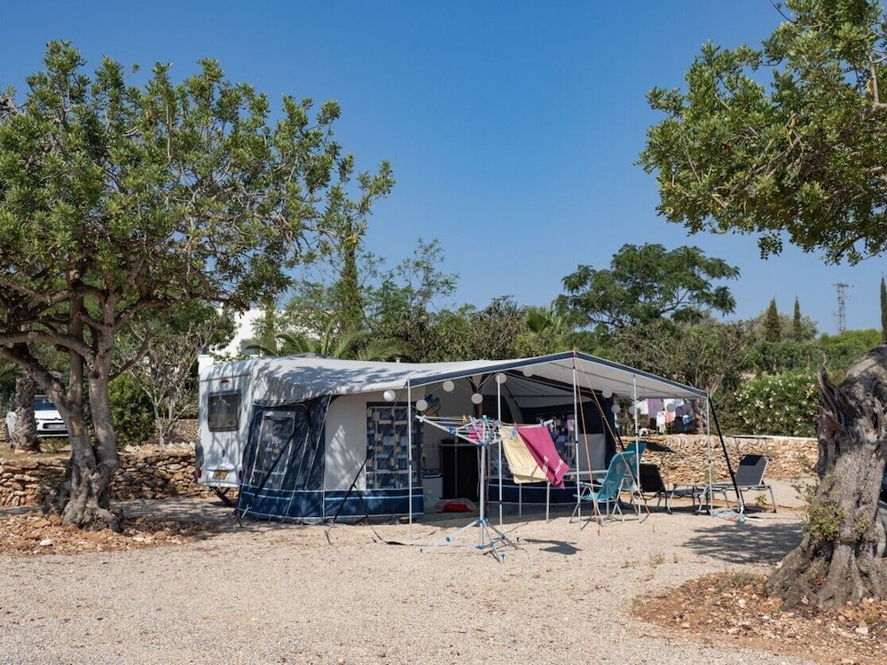 Plot (Tent or Caravan required) photo 3